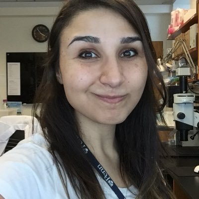 Paola Kuri Paolakurir Twitter Paola Kuri Paolakurir Twitter