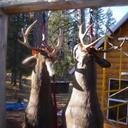 Aaron Malinowski - @Dipthenet - Twitter