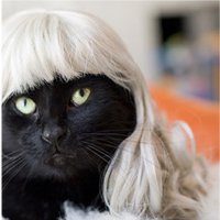 Jeira Rules (@jeira_rules) 's Twitter Profile