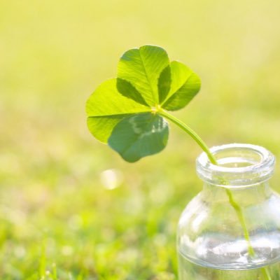 Muscle5140's profile picture. 