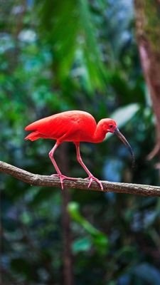 Kuihuaxiangwo's profile picture. 看别人的牛逼日常，涨自己的见识   喜劇 樂趣 中年大叔 爱好珠宝