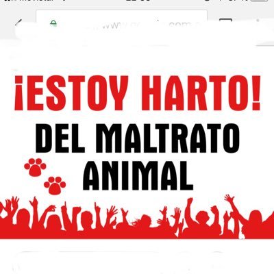 No al maltrato ni venta de animales de todo tipo incluyendo a exoticos que son los más indefensos!