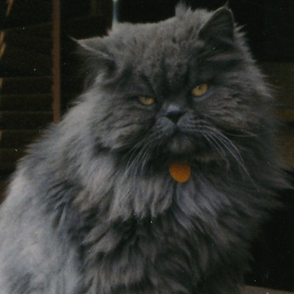 xeomdesign's profile picture. 