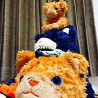 うー@6/14マジでLOVEな王国に行ってきます。 (@swb0329_0214) 's Twitter Profile