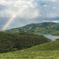 mhofu (@mfela02) 's Twitter Profile