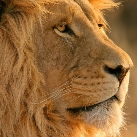 Zim_forever's profile picture. I am a patriotic Zimbabwean who is working tirelessly for the development of the motherland. A natural hater of cronyism, nepotism, corruption & regionalism💥💥