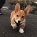 çŠä¹ä»ïŒ RUN!RUN! (@kerogarden) Twitter profile photo çŠä¹ä»ïŒ RUN!RUN! (@kerogarden) Twitter profile photo