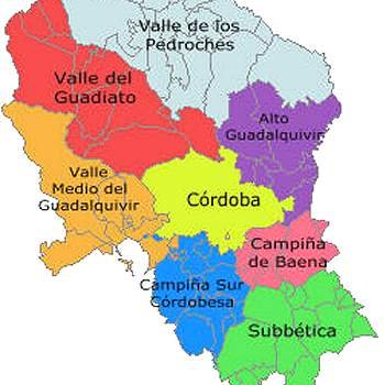 Noticias y Tablón de Anuncios de Córdoba y provincia: https://t.co/Xa5IrdGMeS