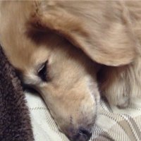大蒜 二郎 (@l2xr7oofmtml4uq) 's Twitter Profile Photo 大蒜 二郎 (@l2xr7oofmtml4uq) 's Twitter Profile Photo