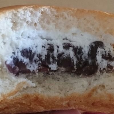 クリーム金時パン/あんホイップ/ランニング/写真/天文/カメラ/飛行機/松山/愛媛