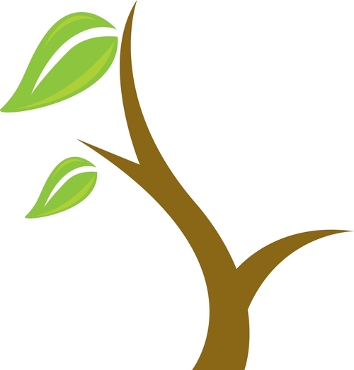 ElementsNatMed's profile picture. Elements is the premier #NaturalMedicineClinic in south Georgia, featuring #Naturopathicexperts from #BastyrUniversity.