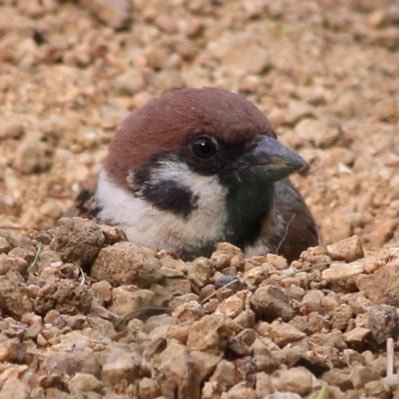 gtleem's profile picture. 北海道からツイートします