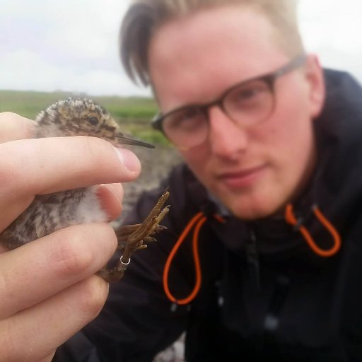 Biologist with special interest in waders, littoral ecology and bird migration. Oystercatcher-Phd student at @uni_iceland, Setter owner and a father.