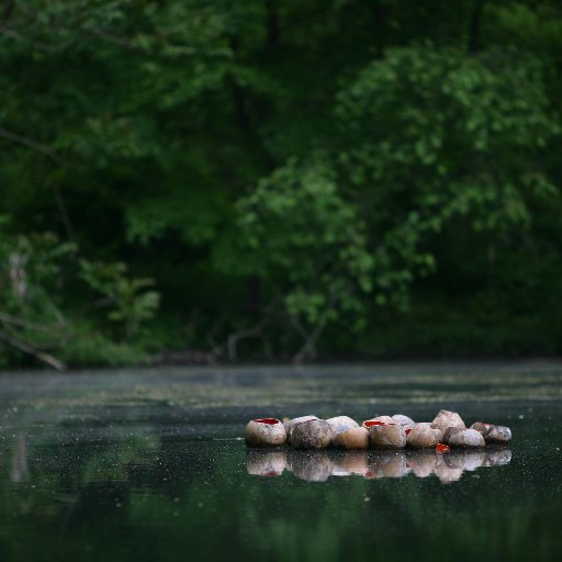 The Environmental Art Department at the Schuylkill Center (@SchuylkillCtr) incites curiosity and sparks awareness of the natural environment through art.