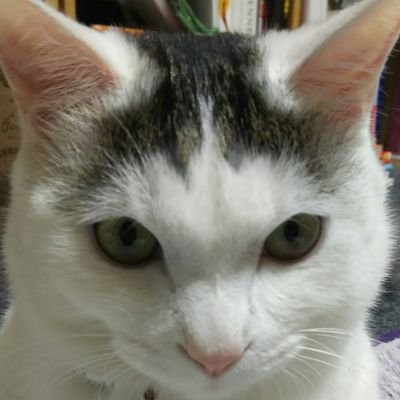 ma7me's profile picture. キンモクセイとTheMa'amとカントリーミュージックが好き。最近は特撮ヒーローにも興味有の普通の主婦。好きなブランドはヴィヴィアンウエストウッド。