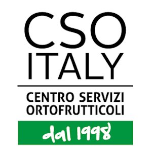 CSO Italy è un punto d'incontro privilegiato per gli operatori della filiera ortofrutticola #CSOItaly