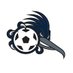 Dalton State Soccer (@dstatesoccer) Twitter profile photo