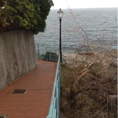 livinginliguria's profile picture. 