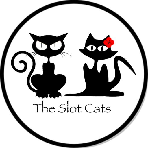 The Slot Cats make YouTube videos! Watch us and subscribe!