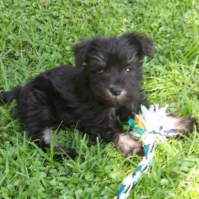 xevor1's profile picture. 