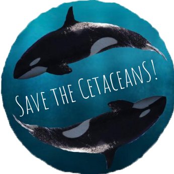 Our mission is to save the whales so that they can tell their tales.

DISCLAIMER: THIS IS NOT A REAL ORGANIZATION, THIS IS A SCHOOL PROJECT