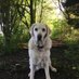 Retired Faith (@retiredfaith) Twitter profile photo