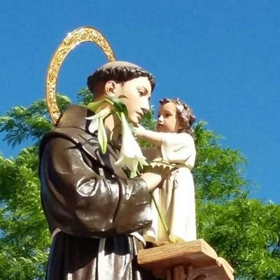 Perfil oficial de la Cofradía de San Antonio de Padua (Ávila)