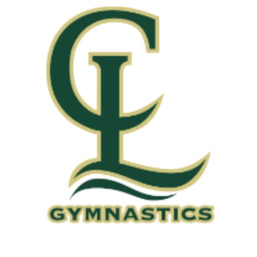 Official Twitter Account for Chisago Lakes High School Gymnastics. Go Gymcats!!! 🐾
