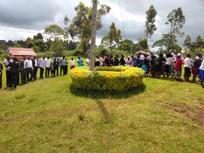 chebisaasccbo's profile picture. I am not special but I have special service to humanity for service to humanity is service to God.