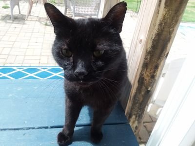 SILVERSPRING99's profile picture. 