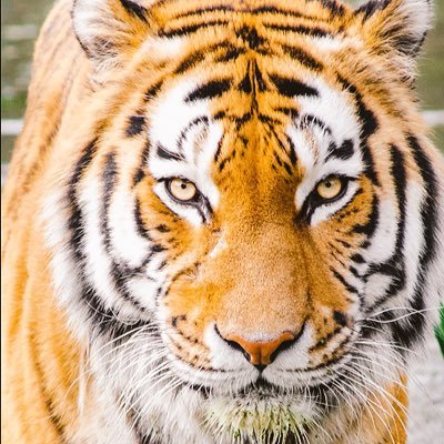 allwin_davis's profile picture. 