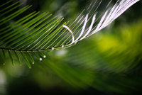 Sandra516's profile picture. 