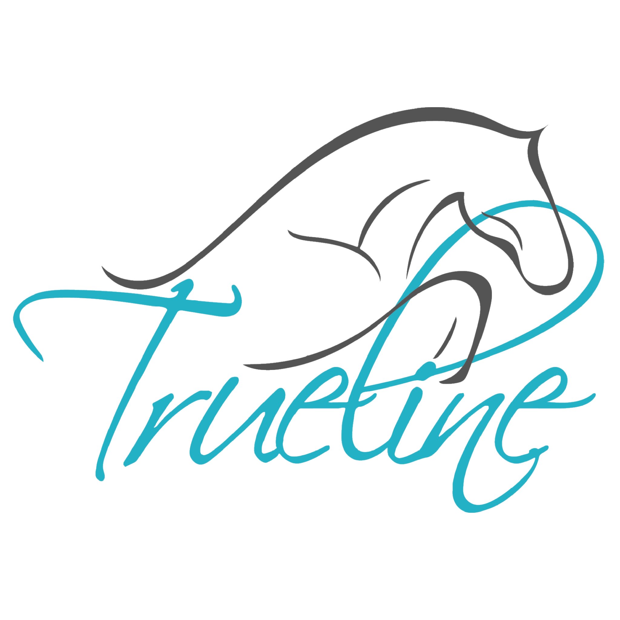 Custom graphics for new businesses at affordable pricing. Trueline specializes in making your logo personalized to you.