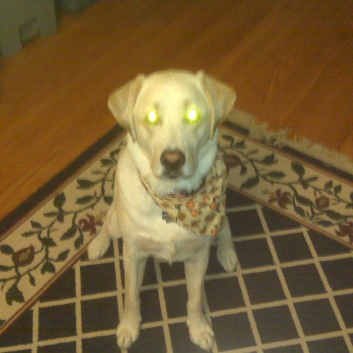 MarkBJohnston's profile picture. 