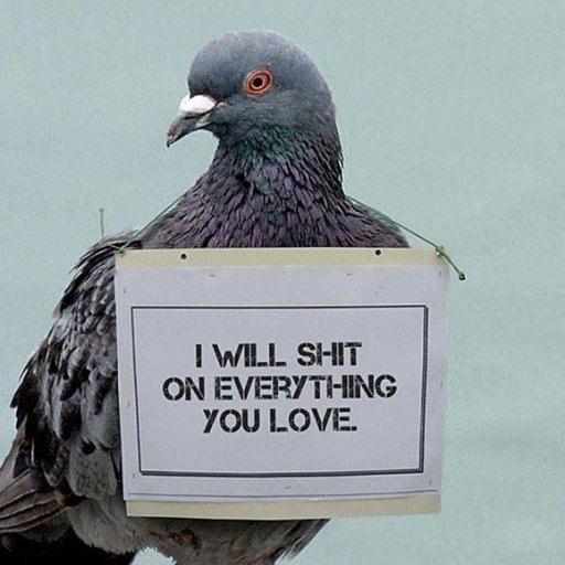 paininthelego's profile picture. 