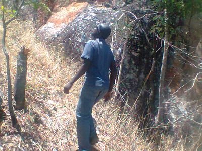 CMushaka's profile picture. Development Consultant 
Development Finance Advisor
Researcher