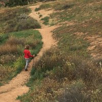 Center for Conservation Biology (@ccbucr) 's Twitter Profile