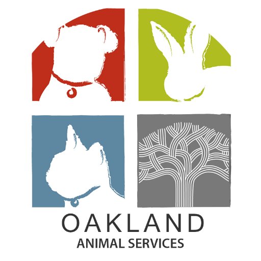 OAS oversees animal control, cares for stray & surrendered animals, supports reunions & facilitates placement via public adoptions & adoption partners.