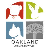 Oakland Animal Services(@oaklandsanimals) 's Twitter Profileg