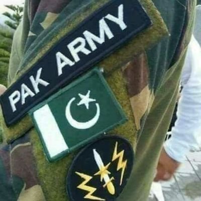 naqvifaiqa02's profile picture. Mjhe maujzon pe yakeen hai