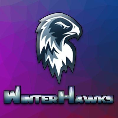 Página oficial da equipe de e-sports WinterHawks