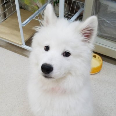 あゆみのプロフィール写真