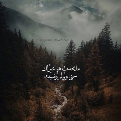 من أراد أن يراك مُخطئاً سيراك : ولو كان كفيفاً ، فلا تنشغل بإرضاء الناس 