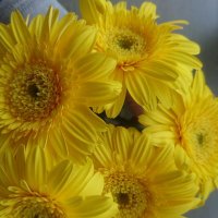 のんのん/メーテル＠SSM交流会 (@luminare0911) 's Twitter Profile Photo