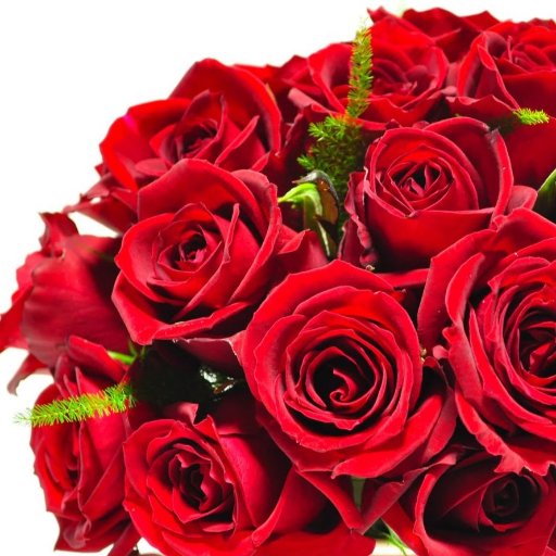 CotoneBeni's profile picture. 文章を書いています ✳️ ノートと手帳とiPad ✳️ 手仕事をしています ✳️ 日々の都内散歩 ✳️ 日々の都内散歩で見えてしまった外国人問題の数々に言及します ✳️ 元ニキビ肌揺らぎ肌グリセリンフリー ✳️ 病気の記録も綴ります ✳️ 自己免疫疾患202403〜 ✳️ 補聴器202203〜 ✳️ 独り言をポツポツ