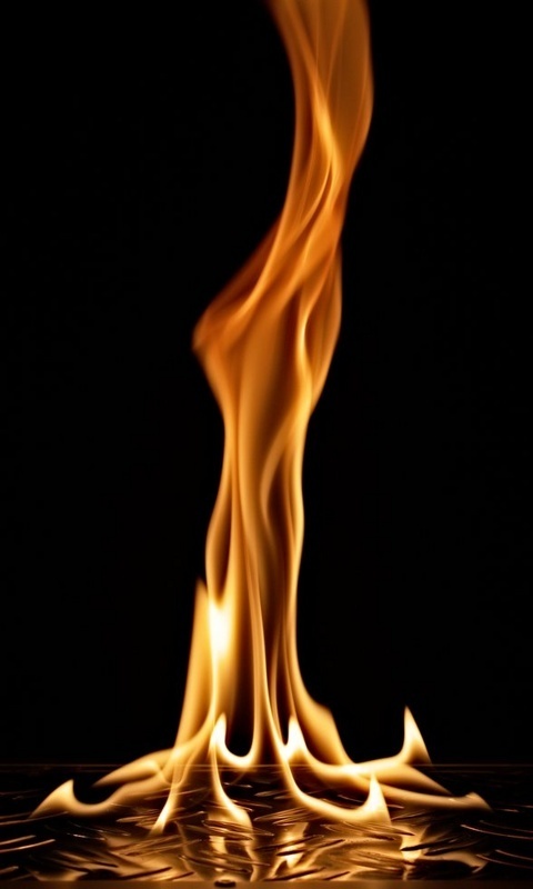 astroshadow's profile picture. How lonely is the night without the howl of a wolf.