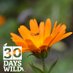 Wildlife Aston (@aston_wildlife) Twitter profile photo Wildlife Aston (@aston_wildlife) Twitter profile photo