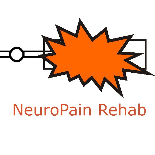 The official e-Journal of the Somatosensory Rehabilitation of #Pain Network -  https://t.co/NF2oIUzvBP #NeuroPainRehab