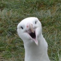 Marc Mc Loughlin (@marcmcflurry) 's Twitter Profile Photo Marc Mc Loughlin (@marcmcflurry) 's Twitter Profile Photo