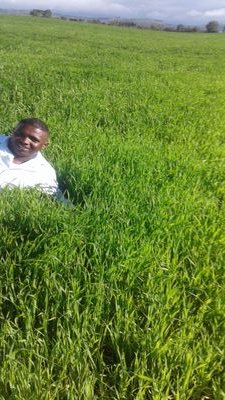 NgataThomas's profile picture. 💪